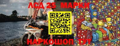 прущие крисы Гатчина