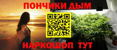 прущие крисы Гатчина