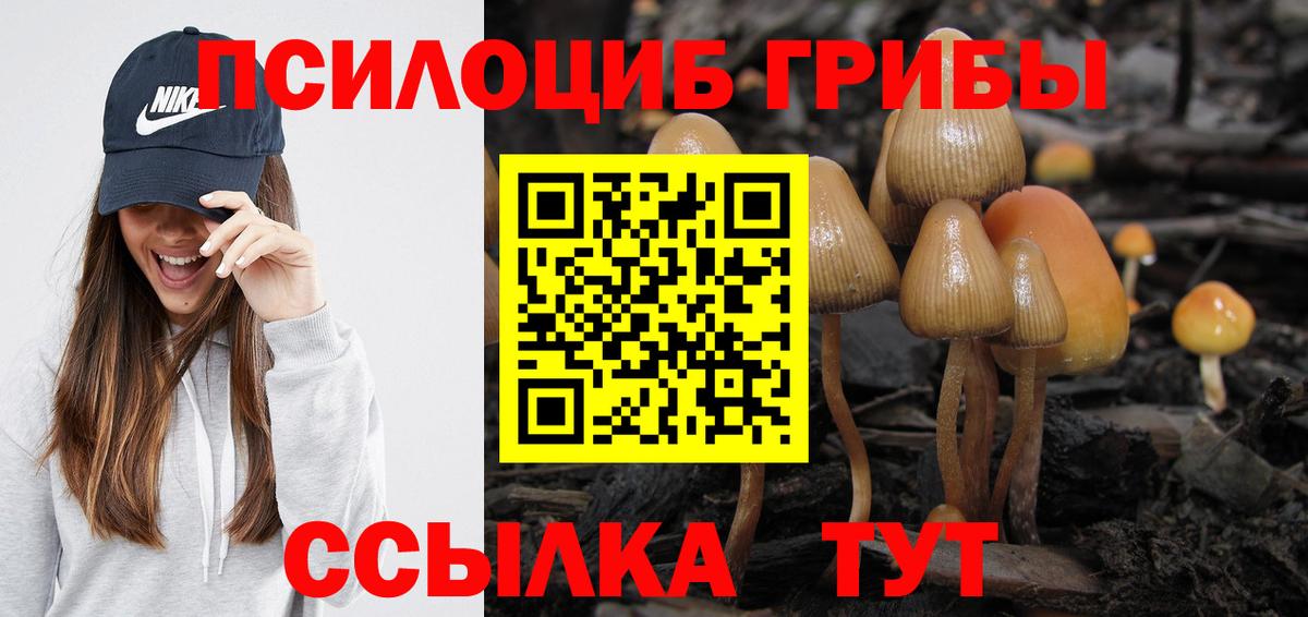 Галлюциногенные грибы Magic Shrooms Минеральные Воды